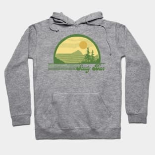 Steely Dan / Retro Style Sunset Design Hoodie